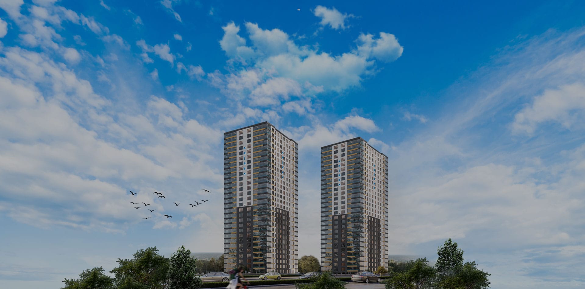 Arissa Göksu | Aras Grup